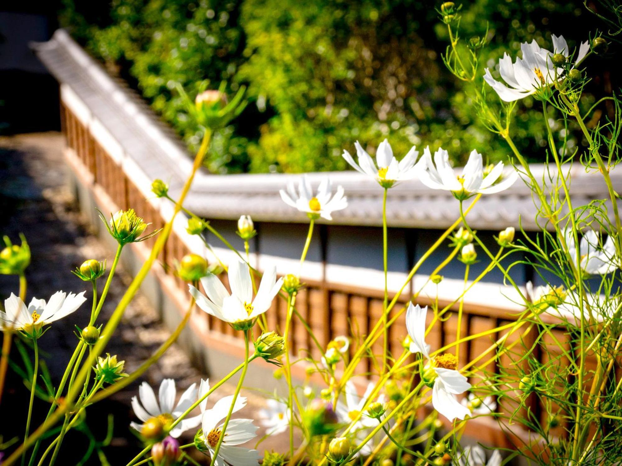 Hotel Kita-Kamakura 520 Zewnętrze zdjęcie