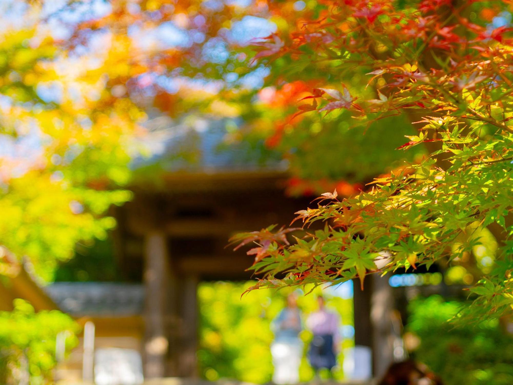 Hotel Kita-Kamakura 520 Zewnętrze zdjęcie