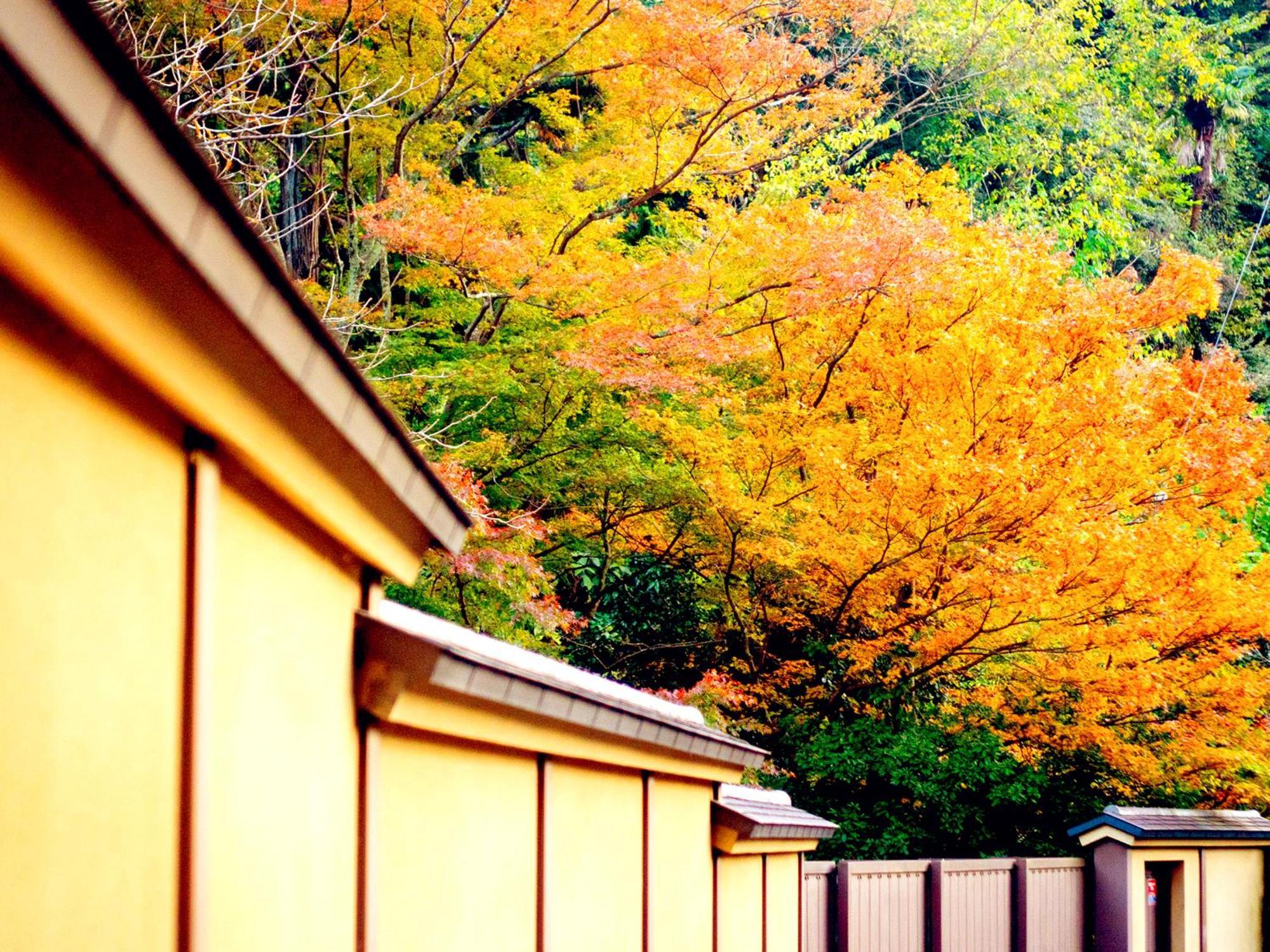 Hotel Kita-Kamakura 520 Zewnętrze zdjęcie